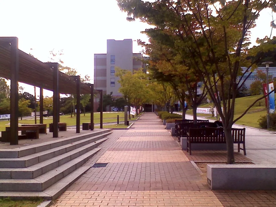 조치원 고려대학교 세종캠퍼스 중앙광장