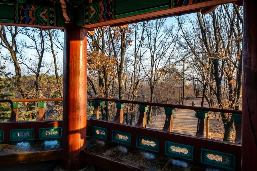 계남제1근린공원 장군정에서 본 겨울 산책길