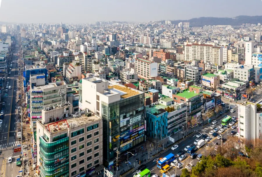 2020년 신정중앙로와 홍익병원 주변 저층 상가·주거지 조망