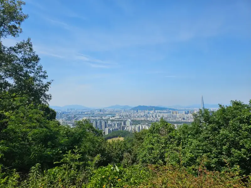 2026년 6월 13일 대모산에서 내려다본 도시와 숲의 경계